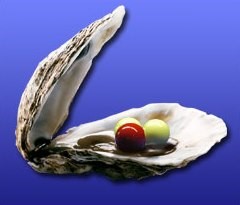 Logo_Billard-Huitre.jpg